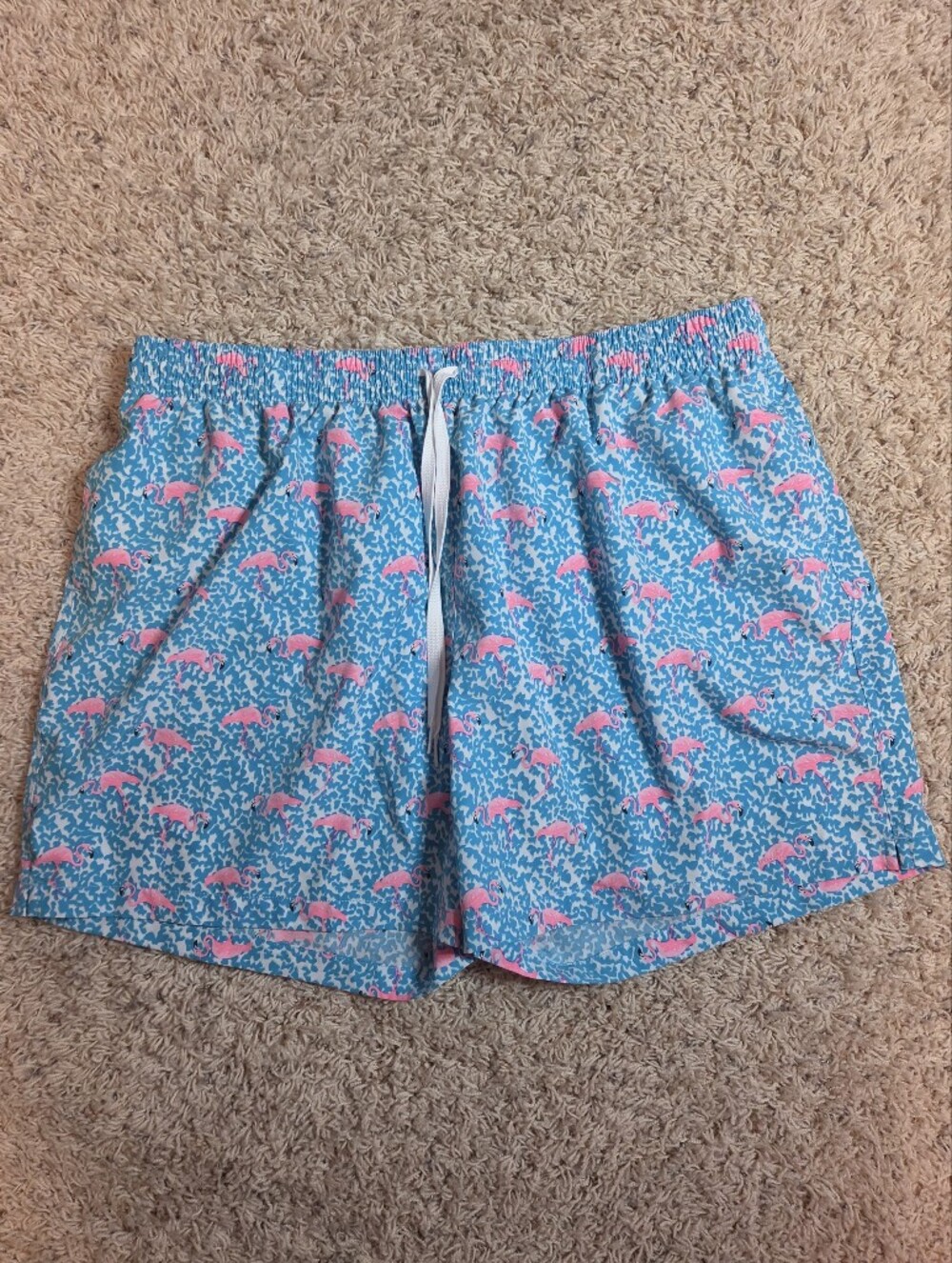 Chubbies 5.5 Inch Inseam Blue & Pink Flamingo Print Shorts